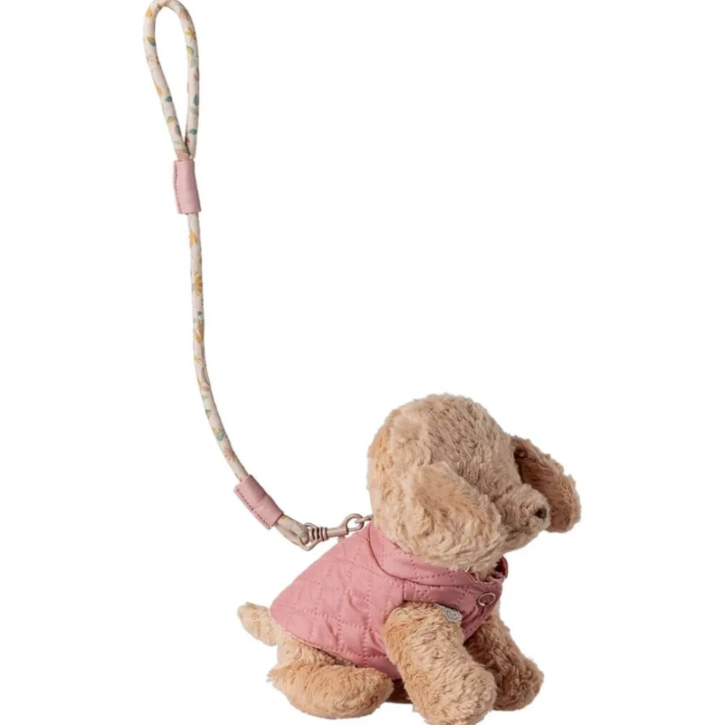 Pet Supply Essentials - Harness and Leash