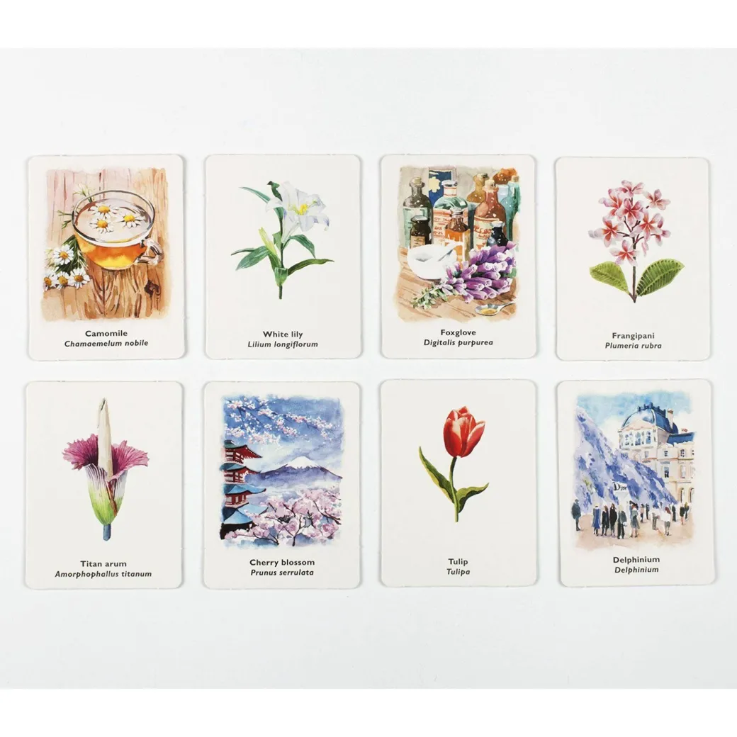 Pick a Flower Memory Card Game