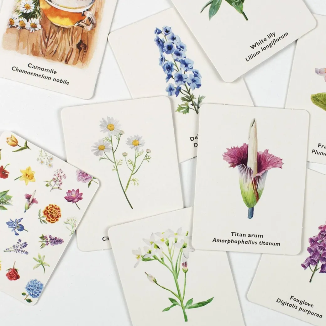 Pick a Flower Memory Card Game
