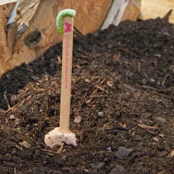 Pollinator Seed Pop