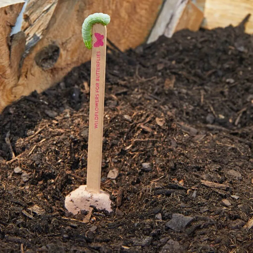 Pollinator Seed Pop