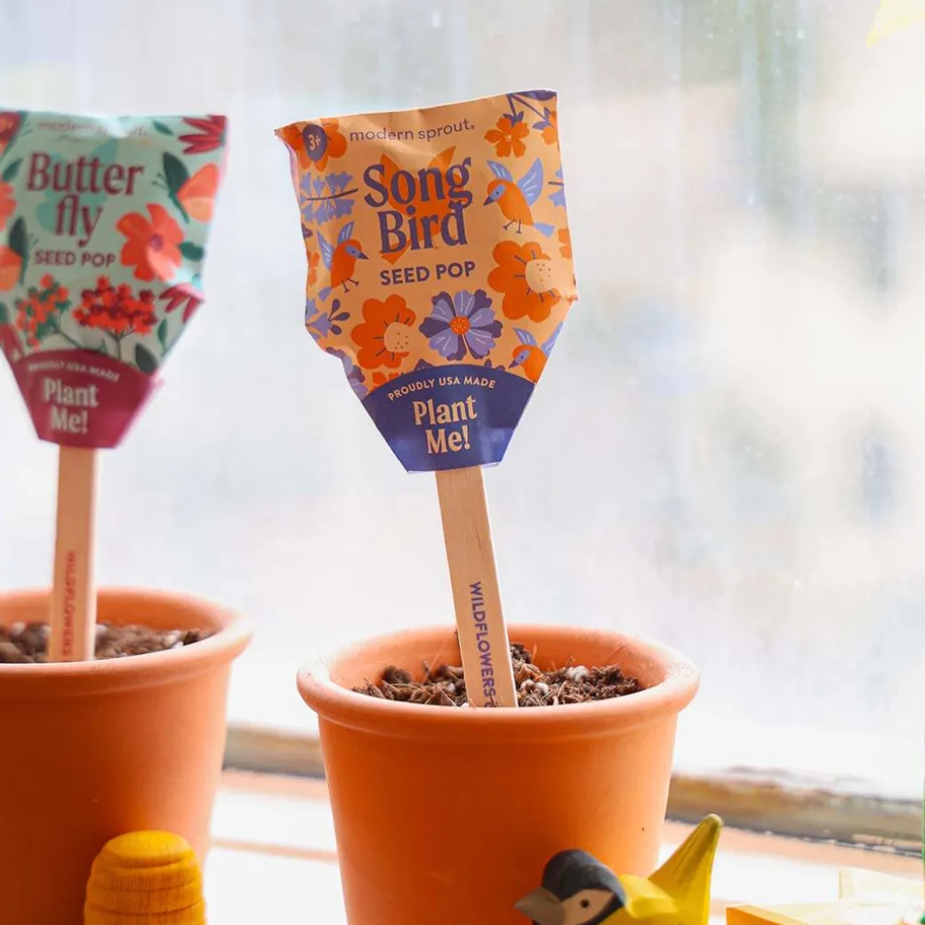 Pollinator Seed Pop