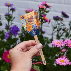 Pollinator Seed Pop