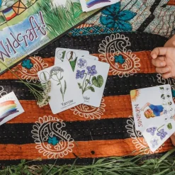 Wildcraft! An Herbal Adventure Cooperative Board Game