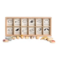 Wild: Exploration Play Set and Sorting Tray