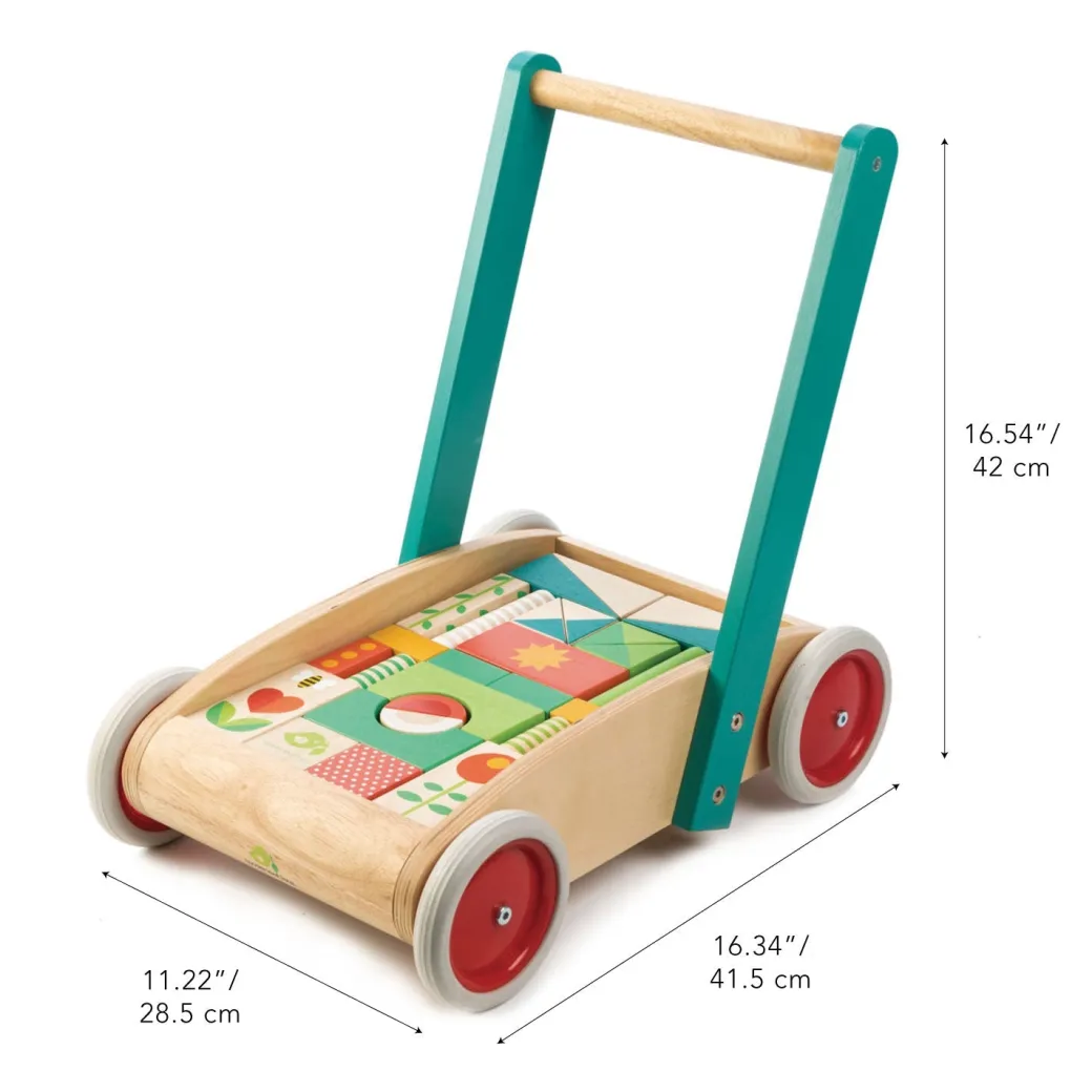 Wooden Baby Walker and Garden Blocks Set