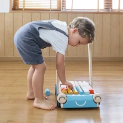 Wooden Baby Walker & Block Set