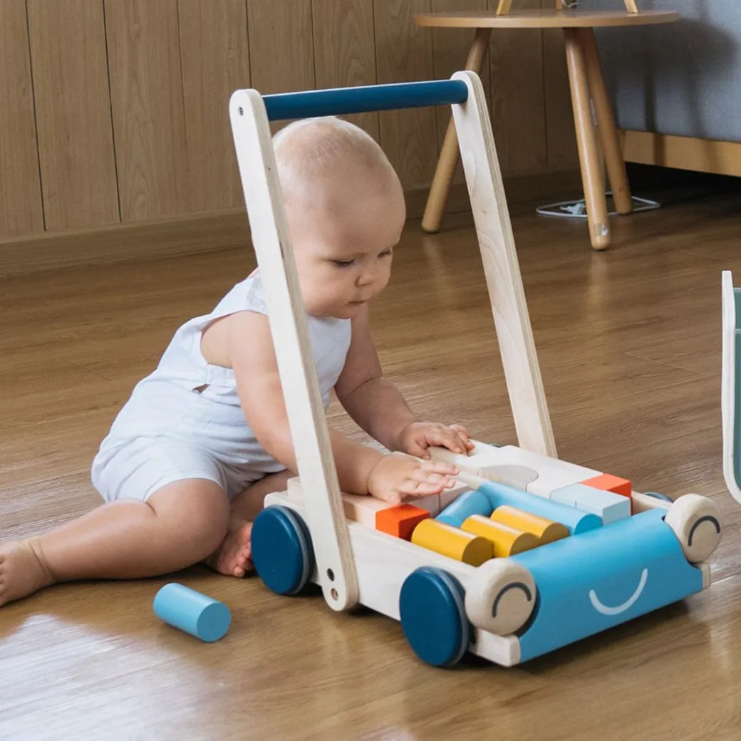 Wooden Baby Walker & Block Set