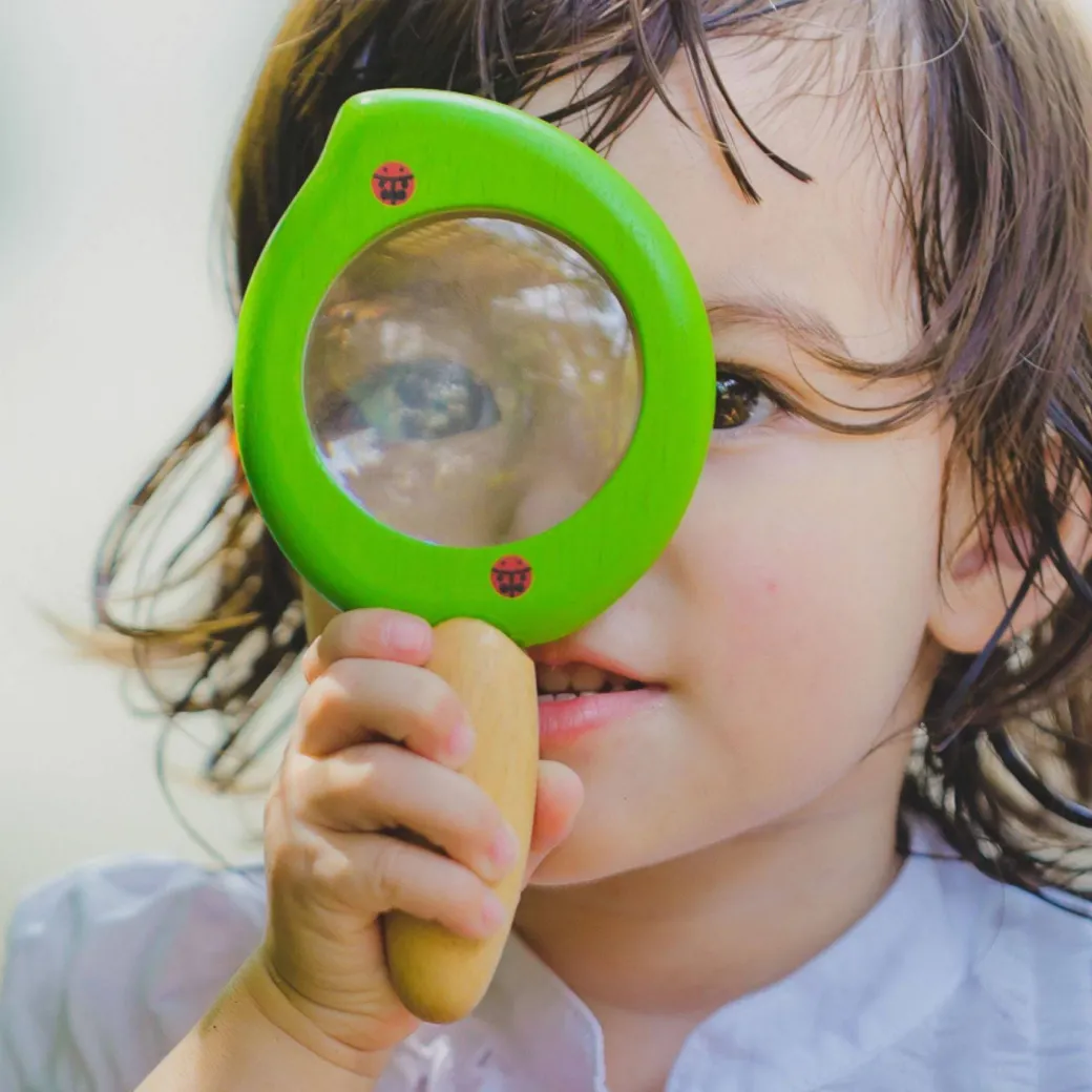 Wooden Leaf Magnifying Glass