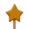 Wooden Star Wand